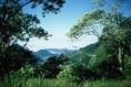 /album/galeria-de-fotos/a800px-serra-da-bocaina-jpg2/